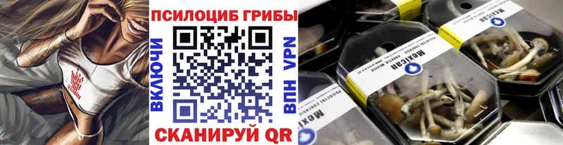 Купить где  Венёв  Псилоцибиновые грибы прущие грибы 